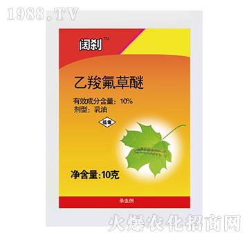 10%���ȷ�����-韄x-�l(xi��ng)�@�r��