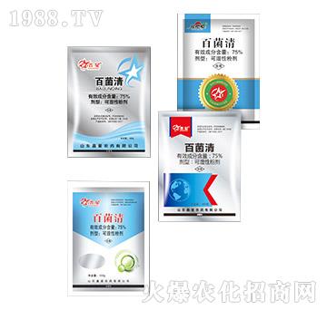 75%�پ���-����