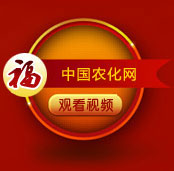 ���ݻ𱬾W(w��ng)�j�o��Ұ�����