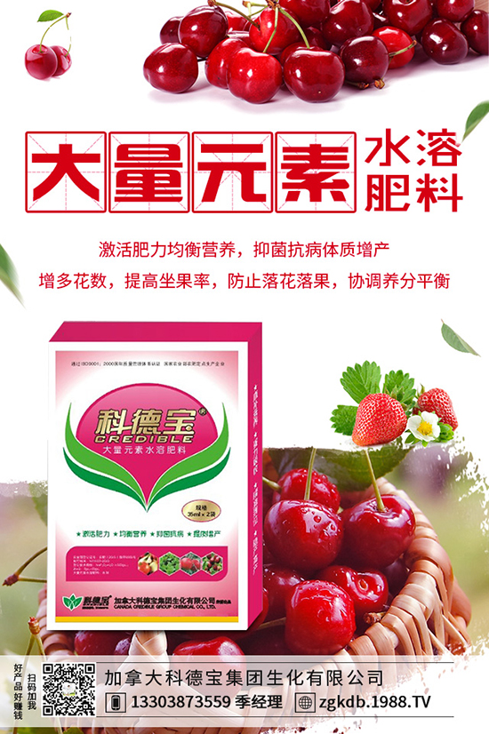 ������(ji��)�N��ᘹ����������������(ji��)��ᘹ�����������