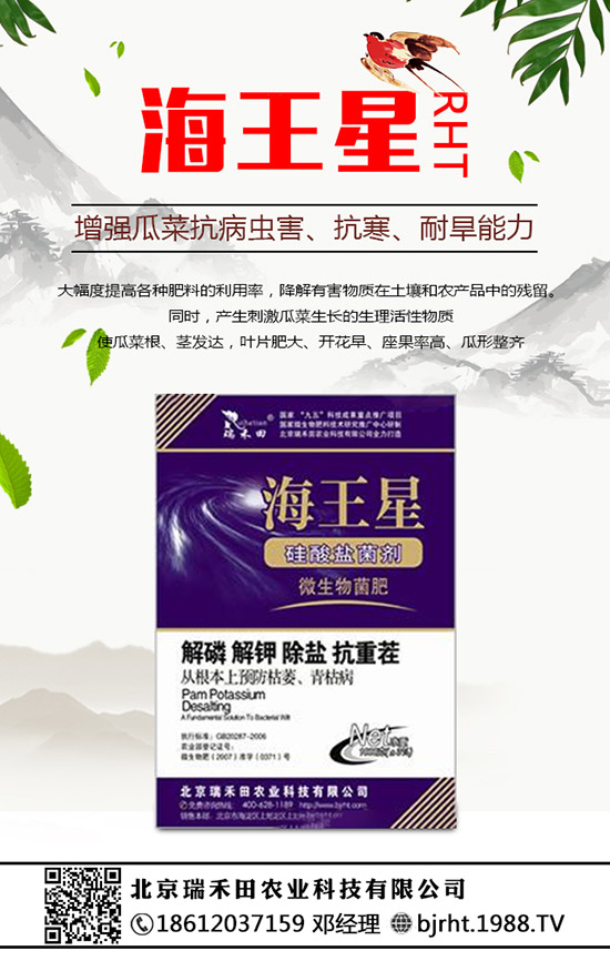 ���N�����B(y��ng)�������N���B(y��ng)ֳ������ע����헣�