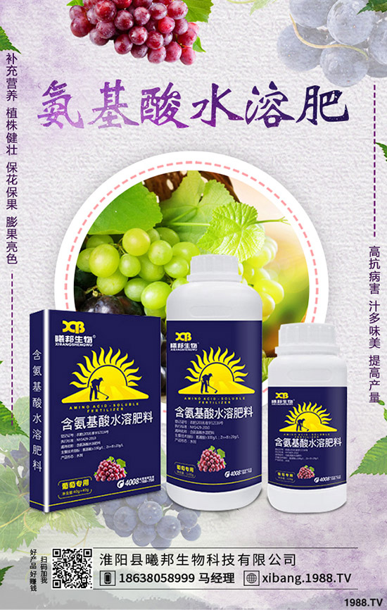 �＾�}����ô�Nֲ���＾�}���Nֲ���g(sh��)������Ҫ�c(di��n)��