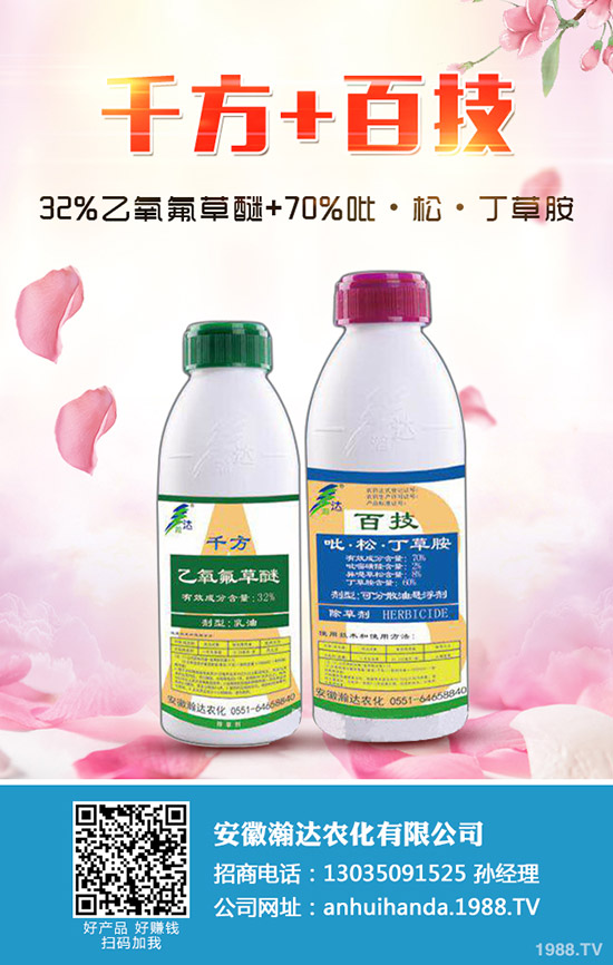 冬季馬鈴薯怎么種？冬季馬鈴薯栽培要點！