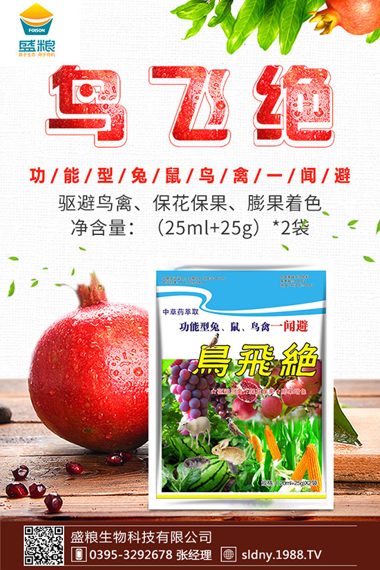 �������t������ڷ����������t���ڷ۷�������Щ��