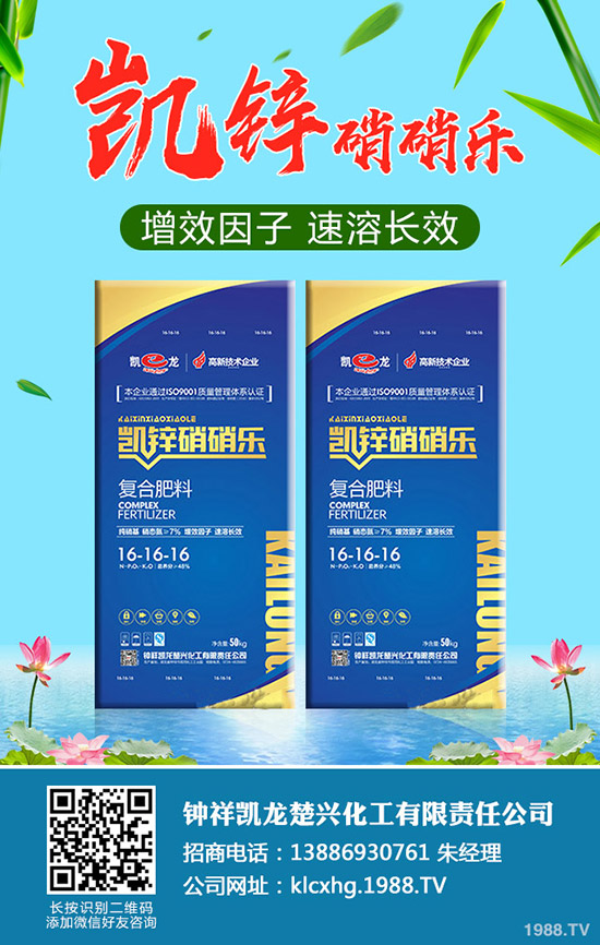 什么是有機(jī)大白菜，有機(jī)大白菜種植要點(diǎn)有哪些？