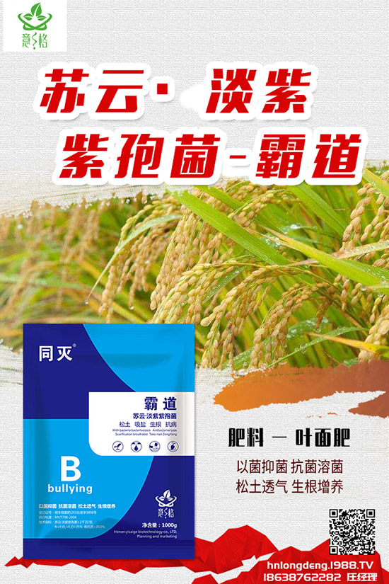 如何種植盆栽玫瑰，盆栽玫瑰的種植方法和注意事項(xiàng)！