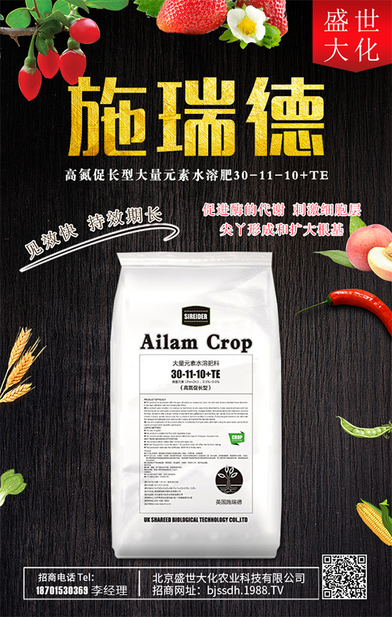 ʯ����ʲô�I�B(y��ng)�r(ji��)ֵ��ʯ������Щʳ�ù�Ч��