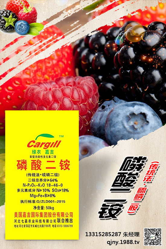 С����ʲô����(ji��)���N������Щ�Nֲ���ɣ�