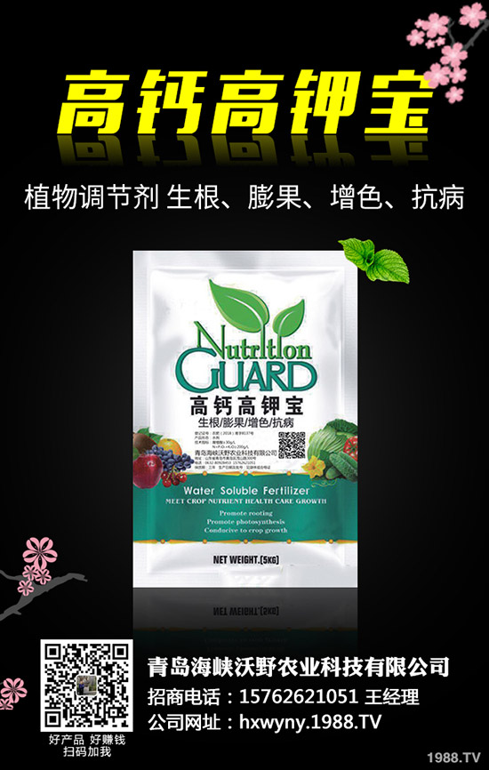 �Ϳ��Nֲǰ��Ҫ�ʂ���Щ�������Ϳ��Nֲ��������Щ��