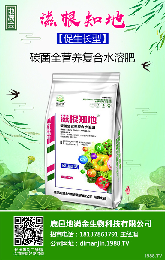 ���G�Ӷ����Xһ����2020�����G�ӷNֲǰ����Ч�����