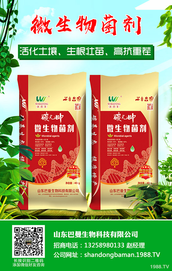     ���������Ј�(ch��ng)���镺��(w��n)��2019��12��16������������S������(b��o)�r(ji��)��