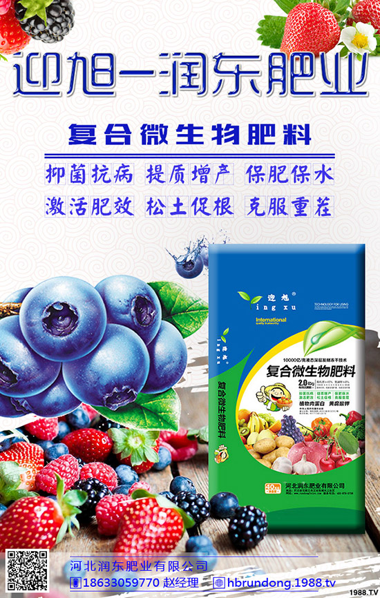 芒果旺長怎么辦？農戶們如何應對芒果旺長？