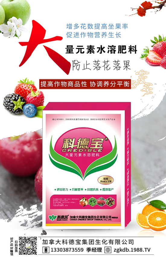 �۹��N�����༼�g �۹��N�ӷ�ֳ����