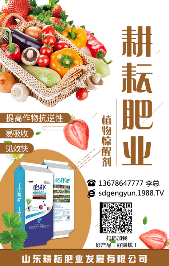 ���؃r(ji��)����m(x��)�»������վֲ��^(q��)�������Ј�(ch��ng)����2019��8��13��