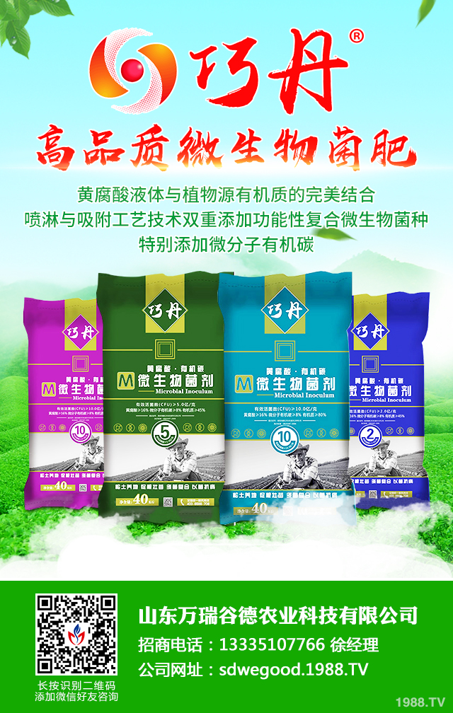 絲瓜早衰怎么防治效果好？絲瓜早衰防治方法