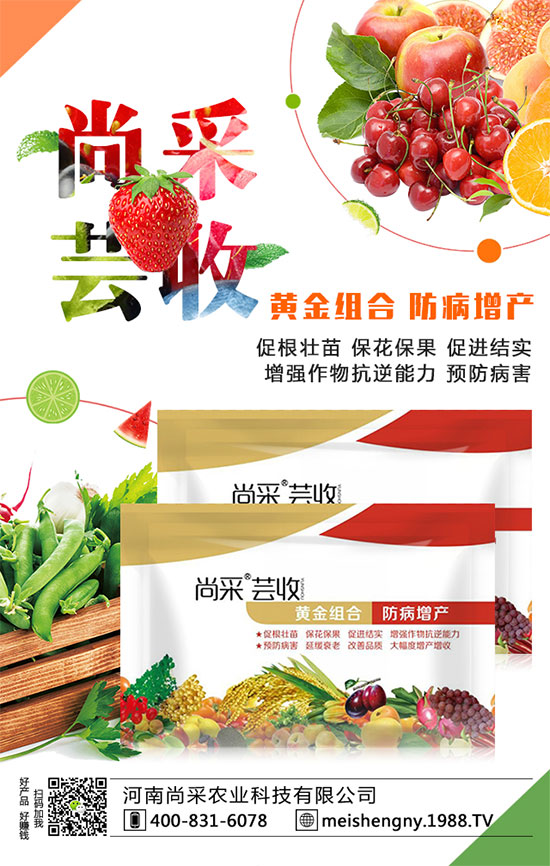 ���������ʵ͵�ԭ����ʲô����������������������