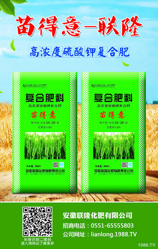 秋季如何種植香菜才能高產(chǎn)？秋季香菜種植技術(shù)！