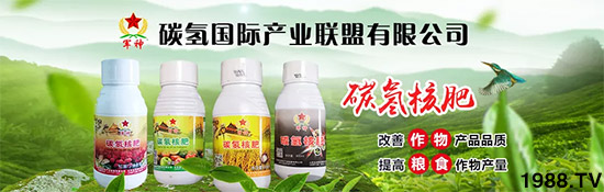 �ϰټ�ý�w��(b��o)�������쳬�^(gu��)�W��ʳƷ��(bi��o)��(zh��n)������̼?x��)�˷ʾ����@ô����