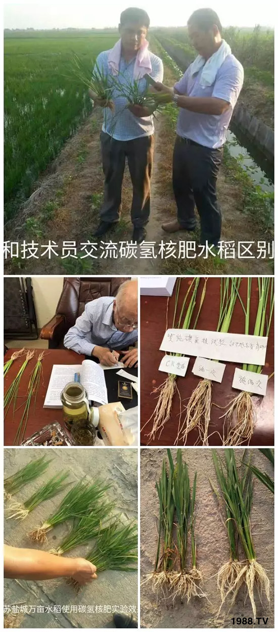 �ϰټ�ý�w��(b��o)�������쳬�^(gu��)�W��ʳƷ��(bi��o)��(zh��n)������̼?x��)�˷ʾ����@ô�𱬣�