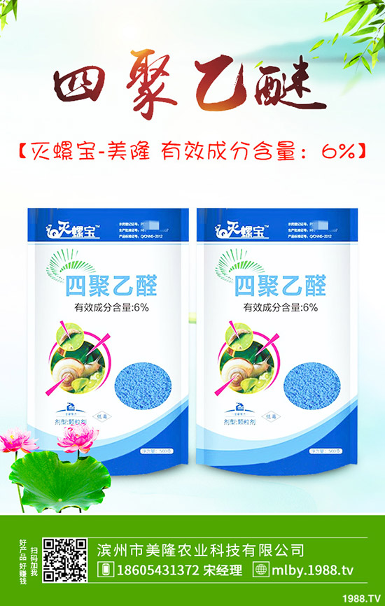 茄子該不該摘葉，茄子摘葉如何操作？