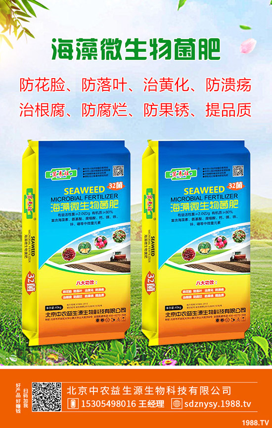 茄子什么時(shí)候種植，茄子一般幾月成熟？