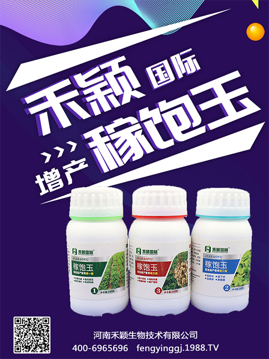 ����Nֲ���ի@�r(sh��)�g������Nֲ�����L(zh��ng)�h(hu��n)����