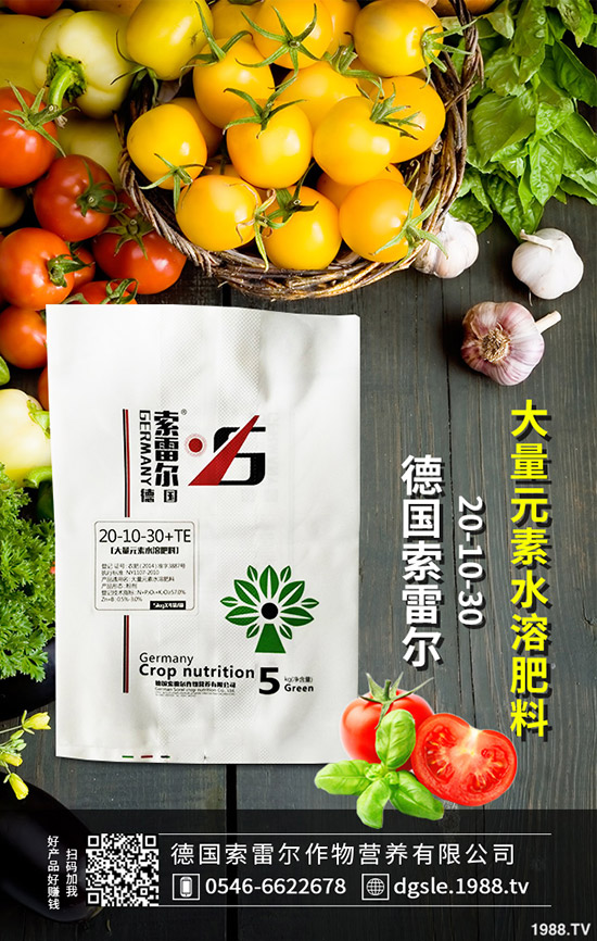 如何防治辣椒花葉??？辣椒花葉病的防治措施！