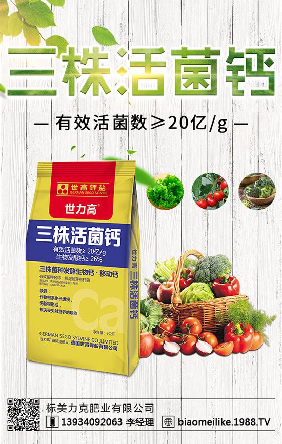 秋黃瓜什么時(shí)候栽培好，秋黃瓜栽培的注意事項(xiàng)！