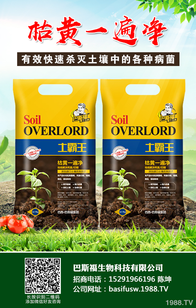 辣椒葉枯病怎樣防治？辣椒葉枯病防治技巧