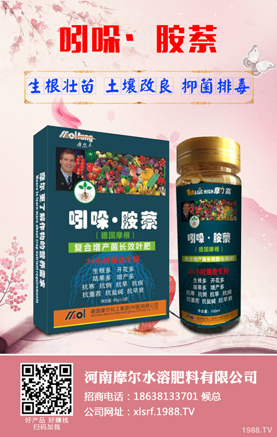 蓮藕怎樣才能高產(chǎn)，蓮藕的高產(chǎn)管理技術(shù)