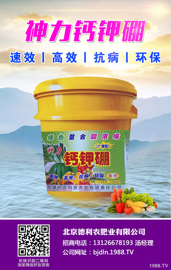 茄子怎么播種？茄子的高產(chǎn)種植方法！