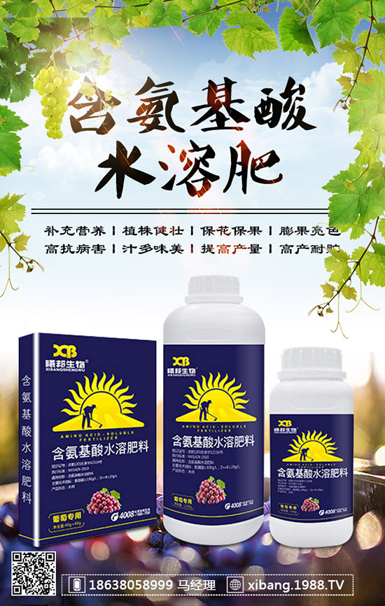 櫻桃蘿卜什么時(shí)候種植？櫻桃蘿卜是否需要澆水