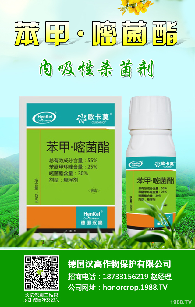 西葫蘆病害怎么辦？西葫蘆四大病害防治技巧