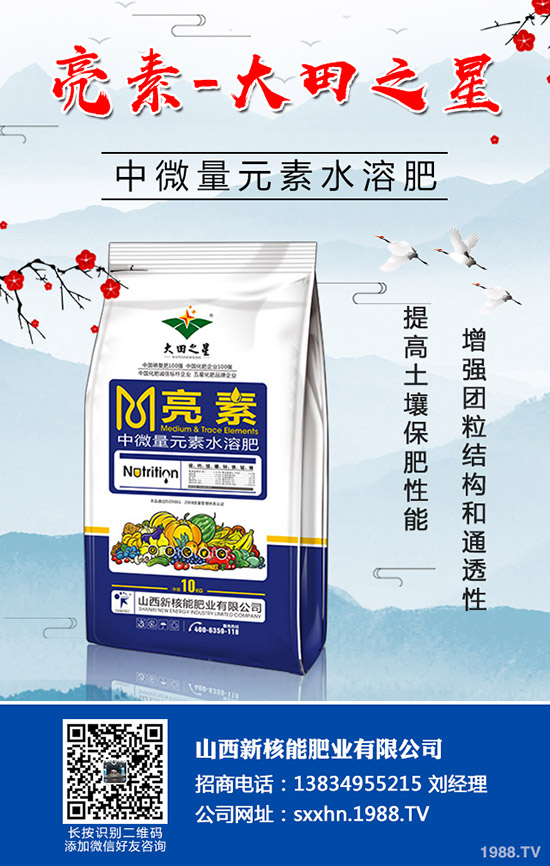 �＾�߲�����������＾���õ������С���������g(sh��)��