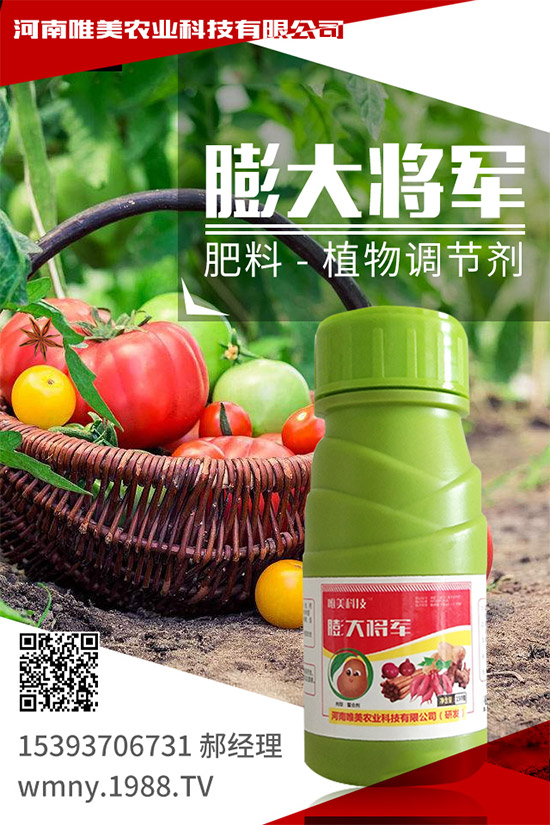 �＾���ҵĹ����(n��i)�����＾�����߲˷Nֲע�������