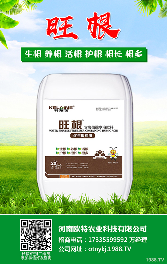 ������ô�Nֲ�����˵ķNֲ���������g(sh��)��