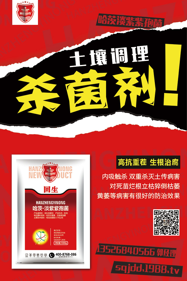 大蔥爛根如何治？大蔥爛根防治技巧