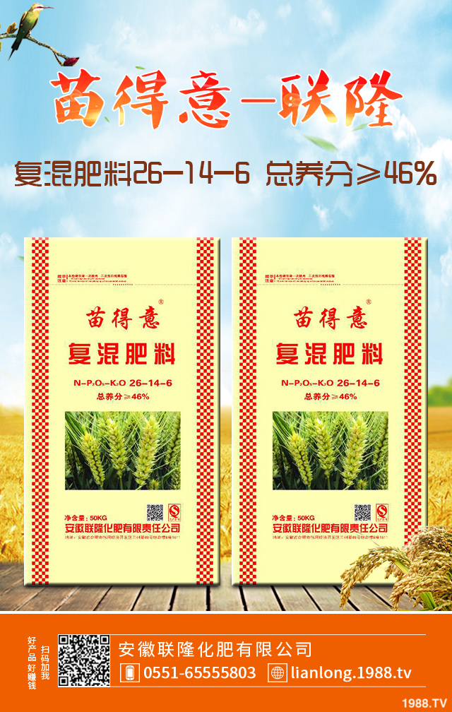 ����ն���ξC��������������ն����ü���