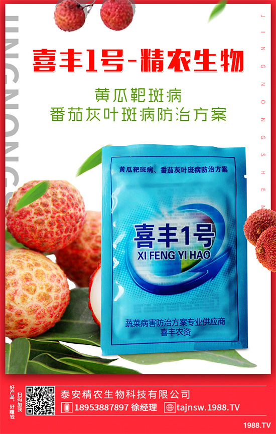 ���n������Щ��̎����Ҋ�n�ĵ�����