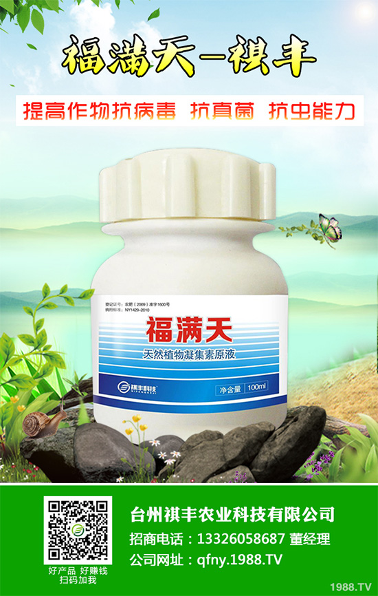 ���n������Щ��̎����Ҋ�n�ĵ�����