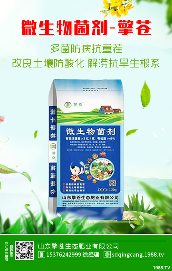     ���֏S�����؃r(ji��)���ϝq��2020��1��10�ո��؅^(q��)�����������S��(b��o)�r(ji��)��