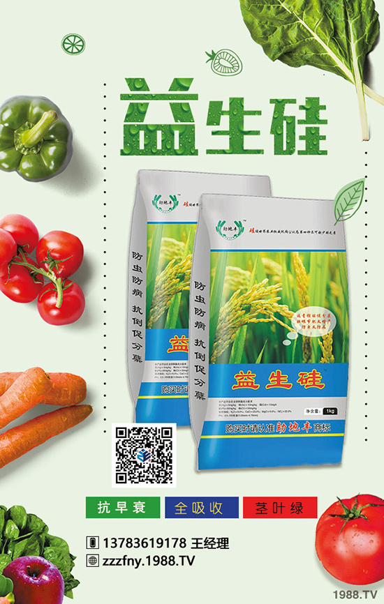 �J����ʩ���������}�Ľ�Q������ֵ���ղ���