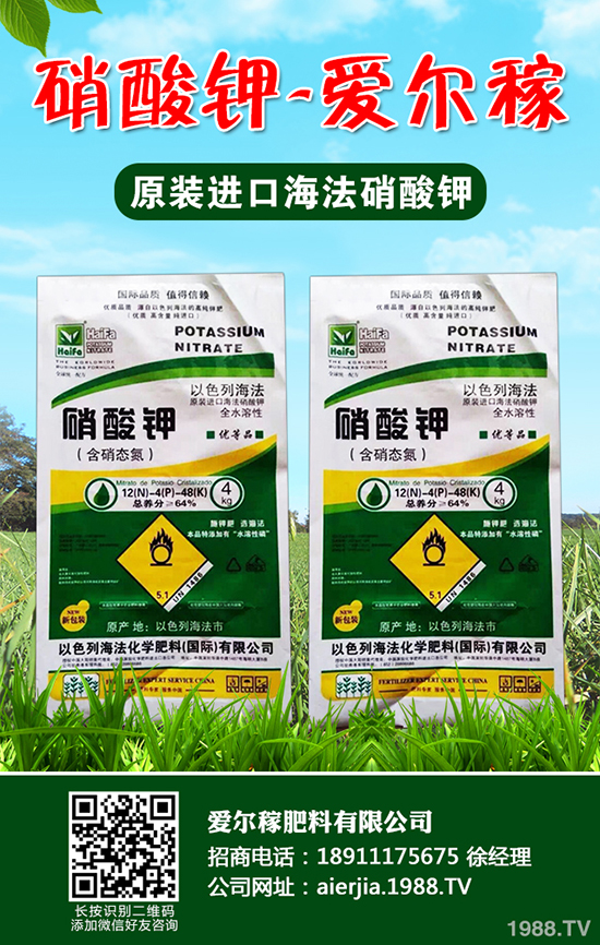 С�[��ô�Nֲ�a(ch��n)������С�[�ķNֲС������