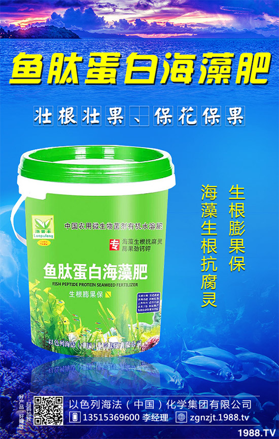 �۲˲���������ЩΣ����ԓ��η��Σ��۲˲�������Σ���c����