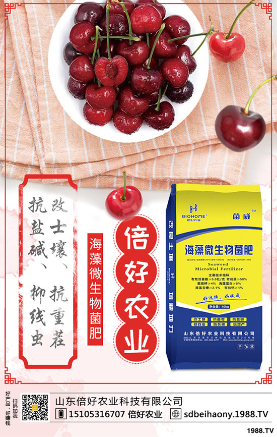     2020���؃r��Ҫ�ϝq���������������߄ݷ�����