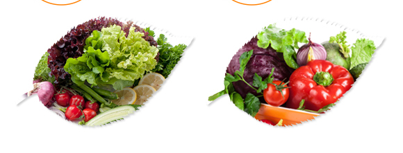 �����ЙC��Ԫ��-��ʩ��_08