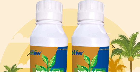 50g��������-��ʩ��_02