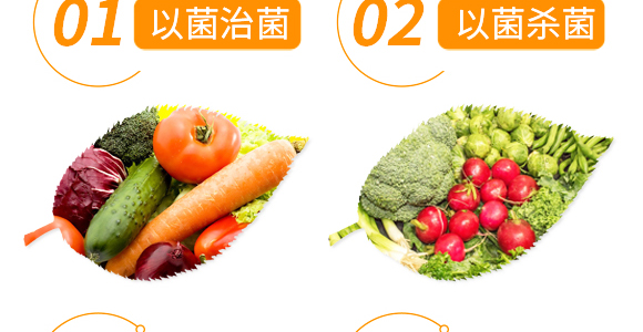 50g��������-��ʩ��_06