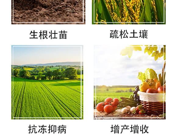 含氨基酸水溶肥料-裕丹白-歐格納科_05