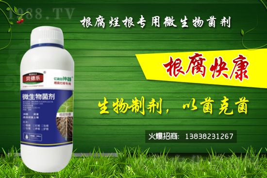 ΢������������θ�����������ô�x��